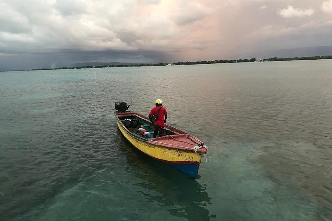 YS Falls, Black River Safari, Floyd’s Pelican Bar - Key points to know before you book