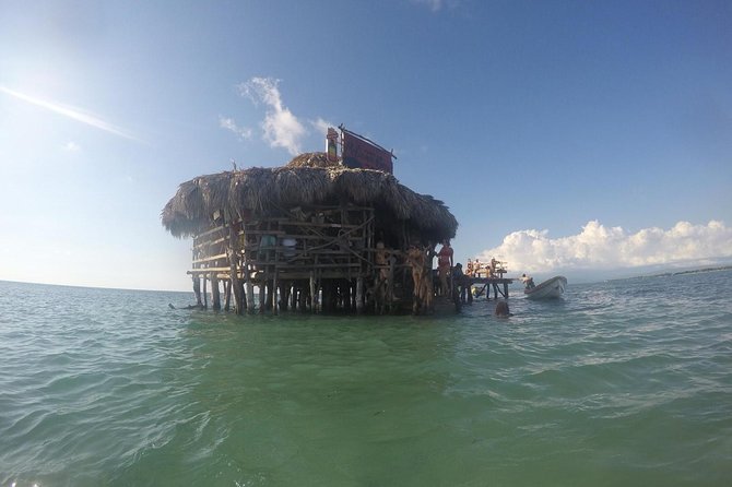 YS Falls, Black River Safari, Floyd’s Pelican Bar - Why this private Negril day trip works