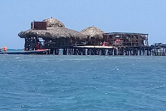 YS Falls & Pelican Bar Tour - The guide can turn transport into a Jamaican introduction