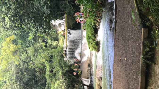 YS Falls Private Full-Day Adventure Tour with Pickup - Arriving at YS Falls and Taking the Jitney