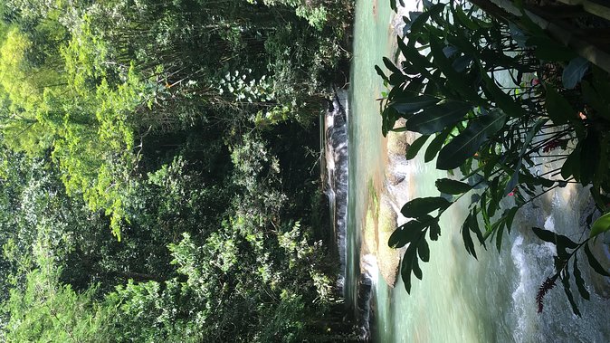 YS Falls Private Full-Day Adventure Tour with Pickup - What the Day Feels Like for Families