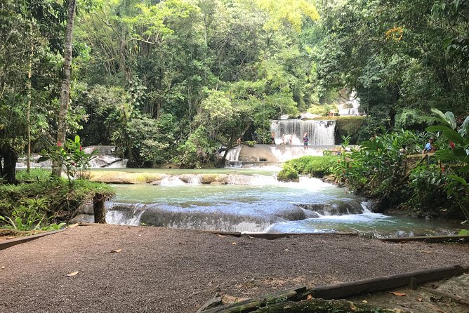 YS Falls Private Full-Day Adventure Tour with Pickup - Is $129 a Fair Price?