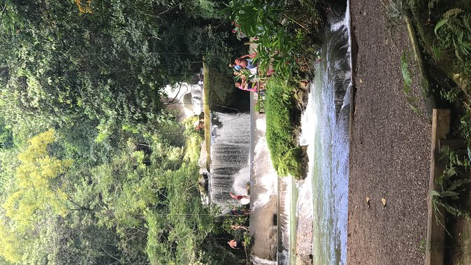 YS Falls Private Full-Day Adventure Tour with Pickup - Seven Waterfalls, Natural Pools, and Rocky Sections
