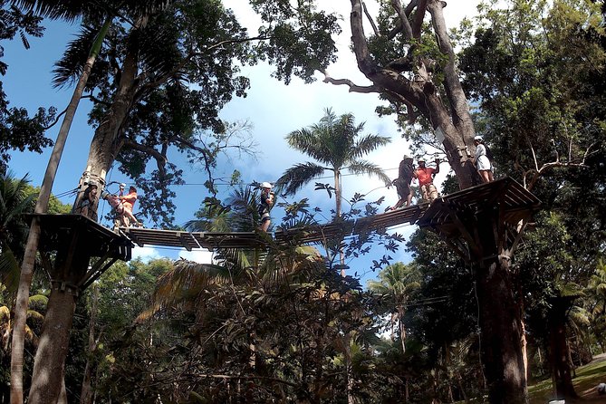 Zip Line over the Dunns River Falls - Leaving Montego Bay at 9:00 a.m.