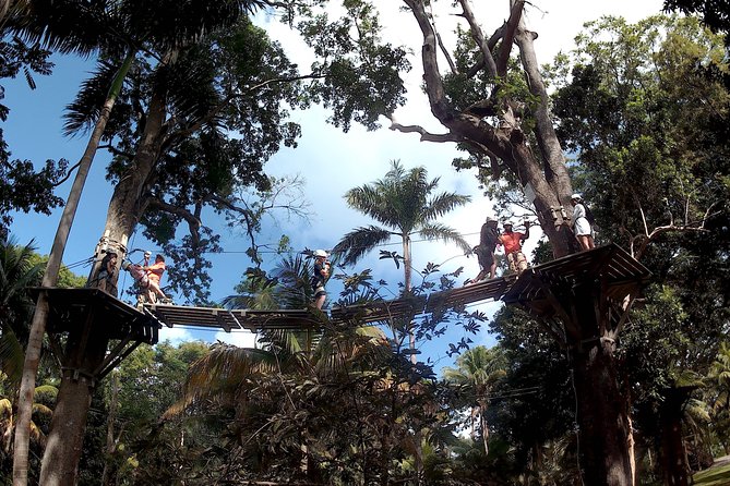Zip Line over the Dunns River Falls - Exploring the terraced waterfalls afterward