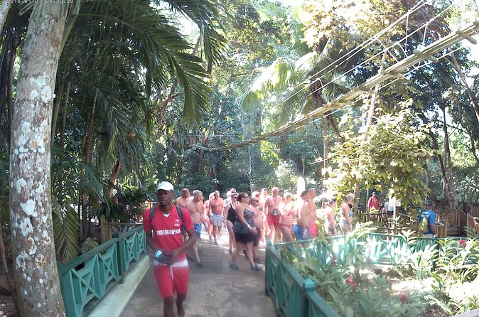 Zip Line over the Dunns River Falls - What the $192.67 price includes