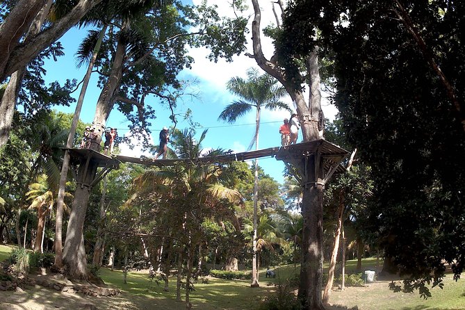 Zip Line over the Dunns River Falls - The operator and communication concerns