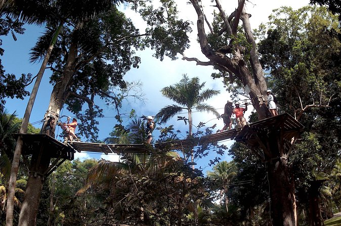 Zip Line over the Dunns River Falls - Who will enjoy this four-hour outing?