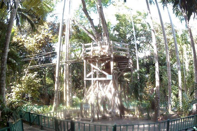 Zip Line over the Dunns River Falls - The zipline course above the park
