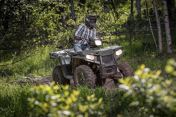Zip-lining/Horseback Rides/Cat & Atv Inclusive Act with Transpo From Montego Bay - What the $210 price really buys you
