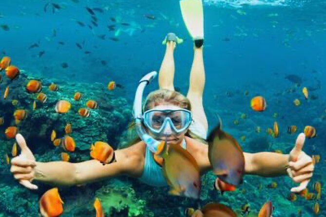Zip-lining/Horseback Rides/Cat & Atv Inclusive Act with Transpo From Montego Bay - Five hours requires a sensible pace